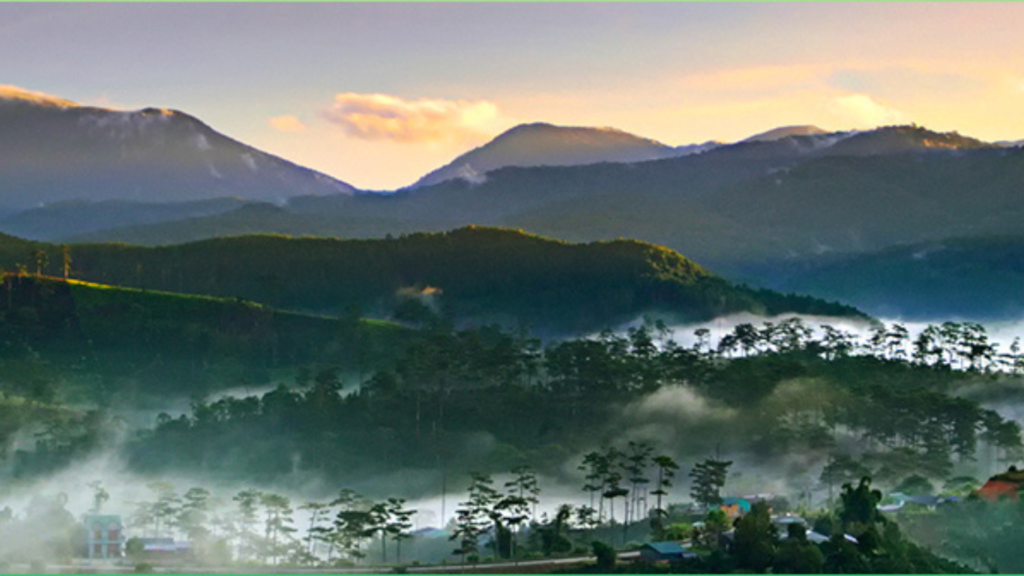 Exploring Vietnam's Hidden Gems: Unveiling Unique Educational Adventures Bidoup